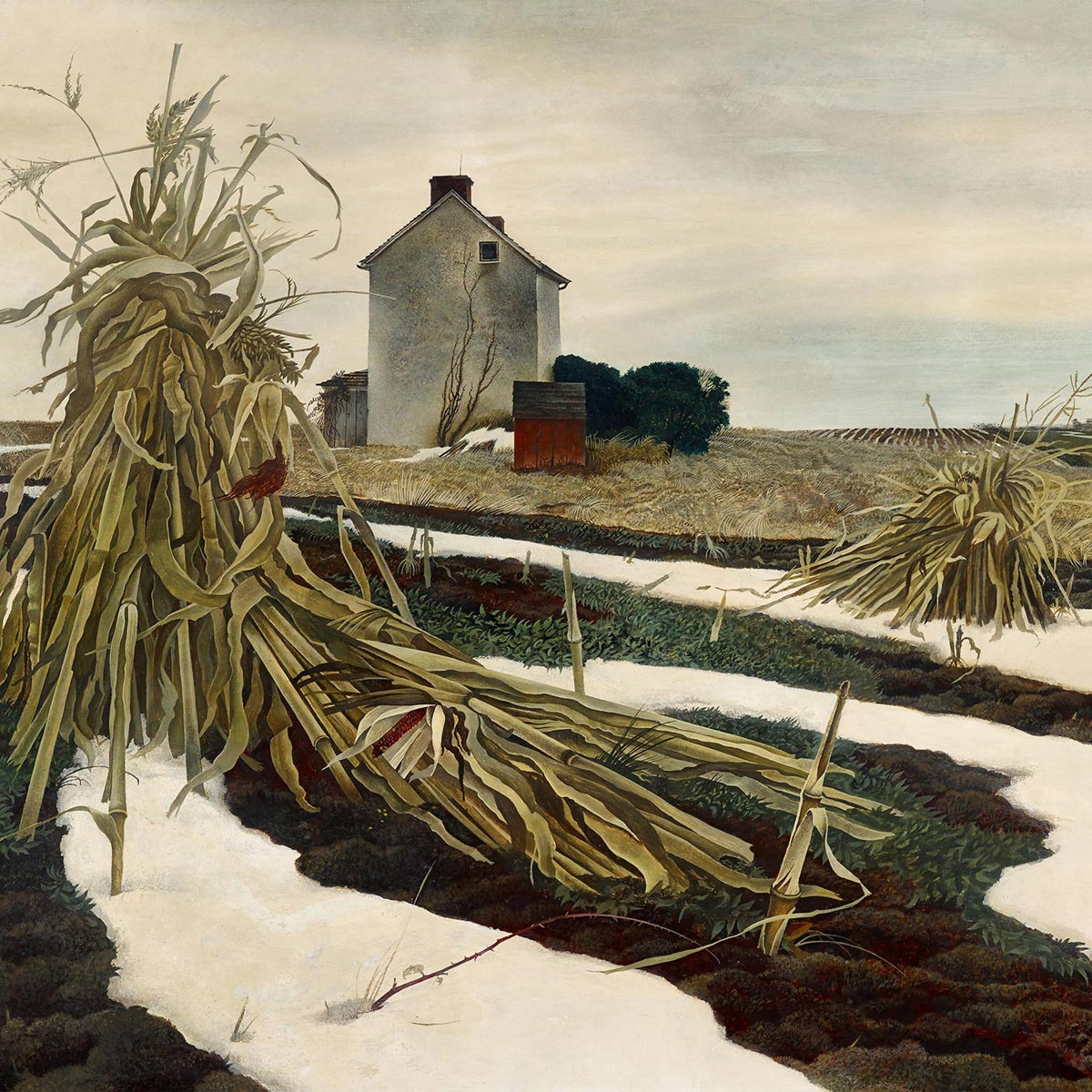 Andrew Wyeth Winter Corn Fields